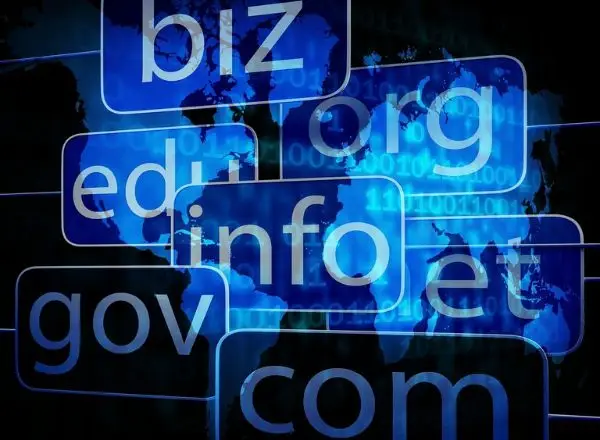 ¿Qué es un dominio web?